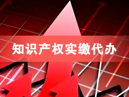 龙泉知识产权实缴资本代办